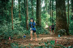 BIB: 
                            <button type="button" onclick="openModal(26057751)" class="btn btn-primary btn-sm float-right btn-popup" data-toggle="modal" data-target=".modal-high-quality">
                        <i class="fas fa-shopping-cart"></i> Add to Cart
                    </button>
                                            <button type="button" onclick="isThisMe(26057751, true)" class="btn btn-success btn-sm float-right btn-popup btn-isme hidden" data-toggle="tooltip" data-placement="bottom" title="นี่คือรูปของคุณใช่ไหม คลิกที่นี่เพื่อเอาเข้าอัลบั้ม">
                        <i class="fas fa-plus"></i> Add to album
                    </button>
                    <button type="button" onclick="isThisMe(26057751, false)" class="btn btn-warning btn-sm float-right btn-popup btn-isnotme hidden">
                        <i class="fas fa-ban"></i> Remove from album
                    </button>